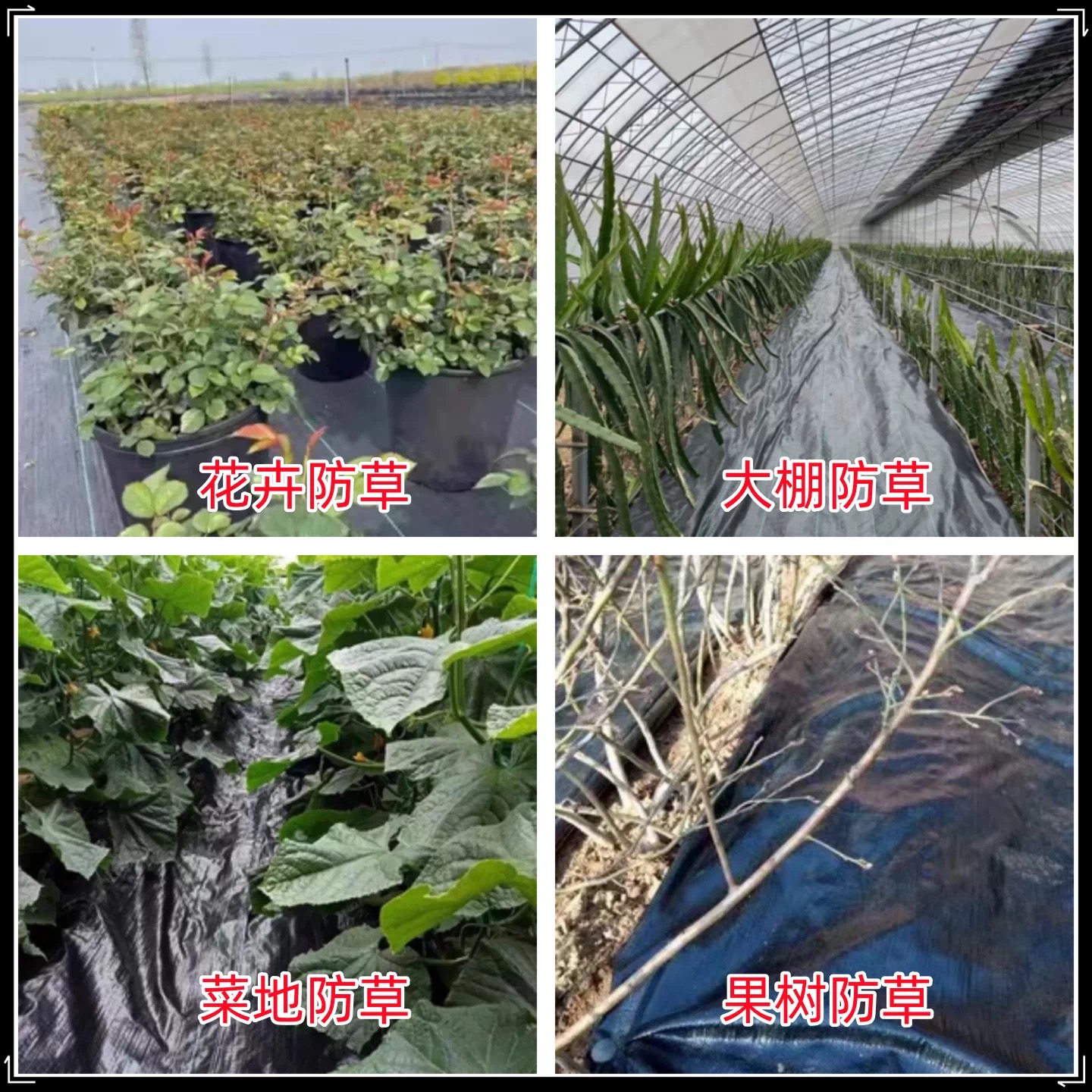 漳州市大棚膜防草布 - 方案