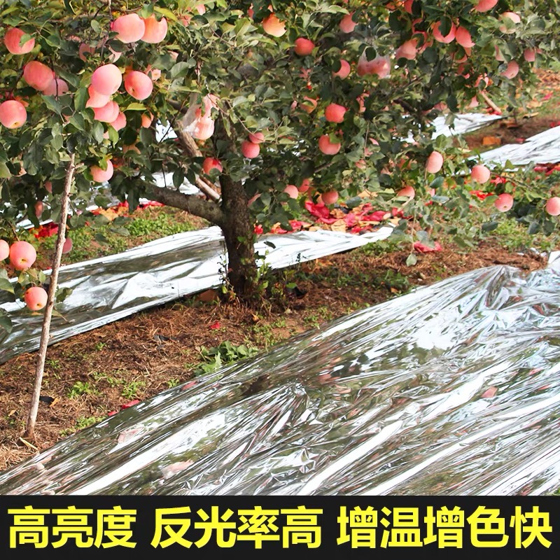 漳州市地膜果树反光膜 - 厂家